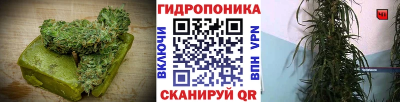 Cannafood конопля  Тверь 