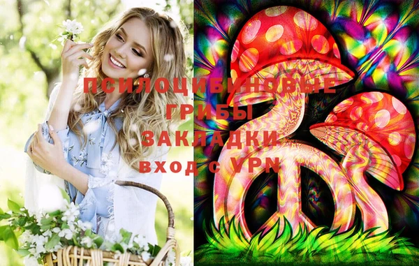 метамфетамин Богданович